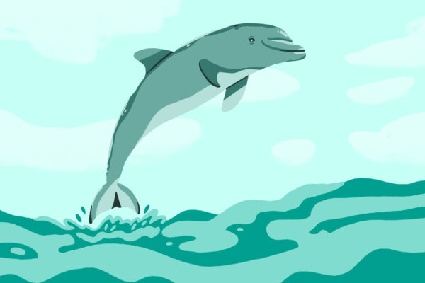 So Long, and Thanks for All the Fish