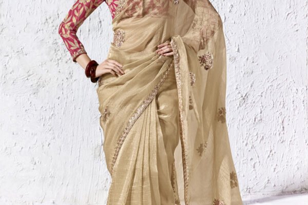 12 Types Of Organza Sarees Every Woman Should Know